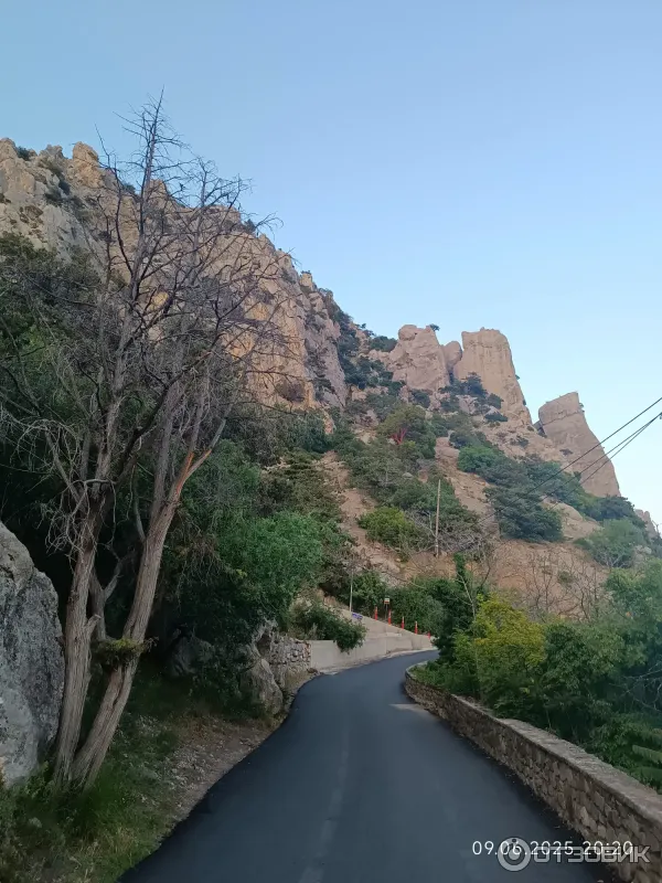 Отдых в Кацивели (Крым) фото