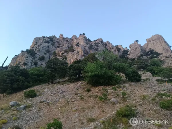 Отдых в Кацивели (Крым) фото