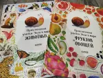 Книга "Приключения улитки Элли" - Ольга Константиновская фото