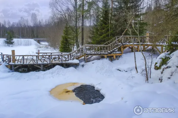 Турагентство Скантур фото