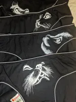 Нижнее белье Donella фото