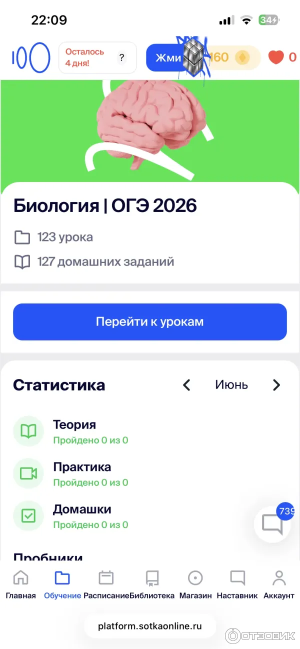 Sotkaonline.ru - онлайн-школа подготовки к ЕГЭ и ОГЭ фото
