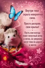 Нейро-игра Ирины Аргентовой "Эффект бабочки: деньги и состояние" фото