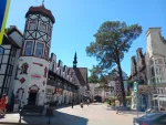 Отдых в г. Светлогорск (Россия, Калининградская область) фото