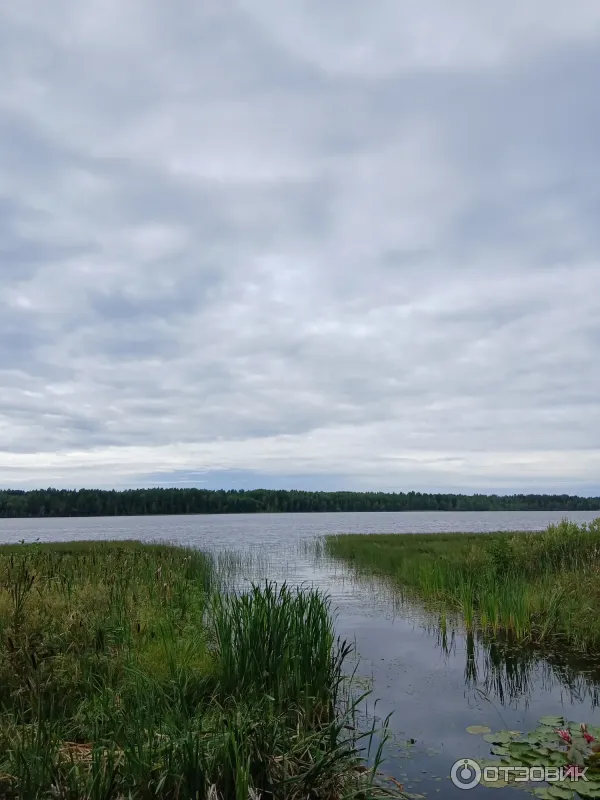 Антониево-Дымский мужской монастырь (Россия, Ленинградская область) фото