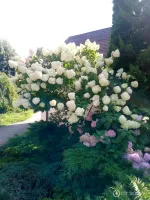 Отдых в Калининграде (Россия, Калининградская область) фото