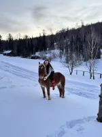 Конный тур по горному Алтаю "Маяк Алтай" (Россия, Алтайский край) фото