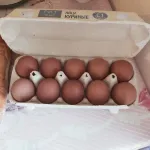 Яйца куриные "Щедрый год" фото