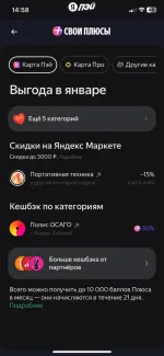Платежная система Яндекс. Пэй фото