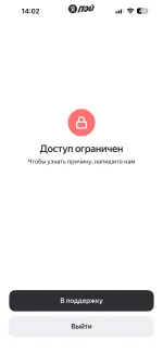 Платежная система Яндекс. Пэй фото