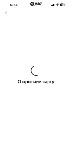 Платежная система Яндекс. Пэй фото