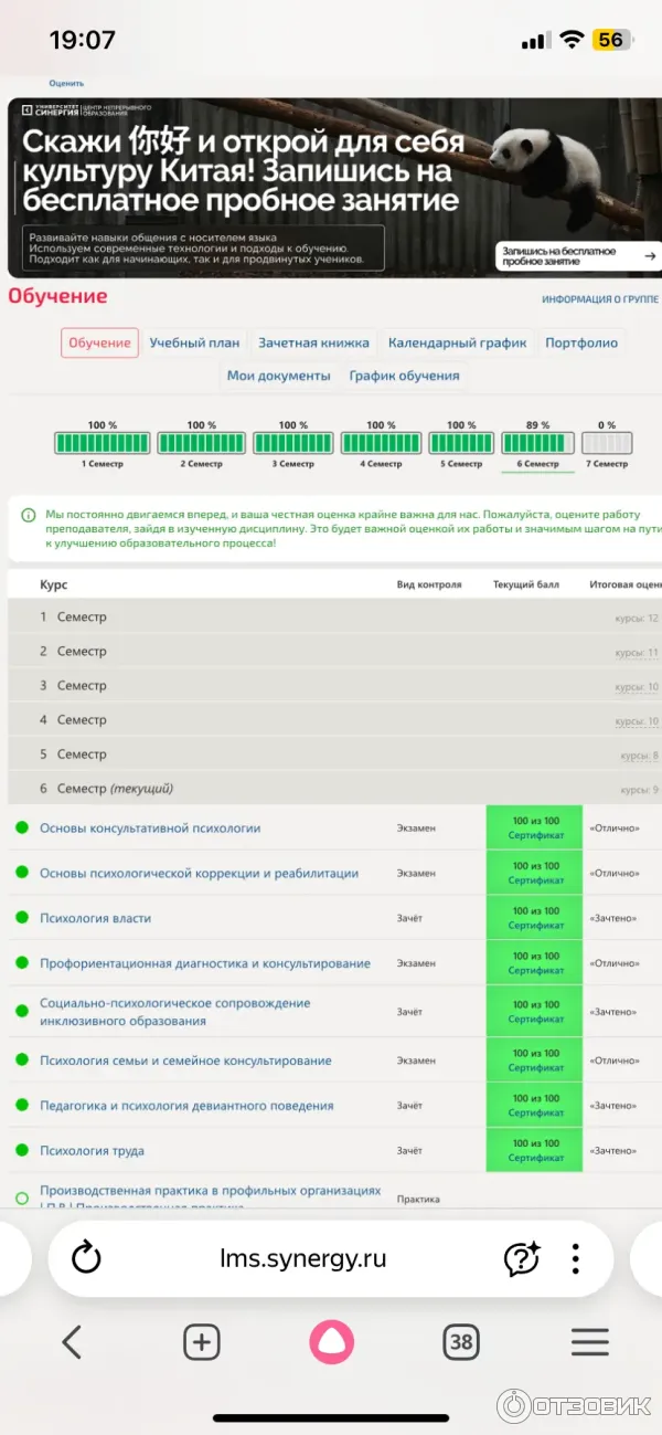 Университет Синергия фото