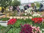 Выставка "Репетиция весны" в Ботаническом саду МГУ "Аптекарский огород" (Россия, Москва) фото
