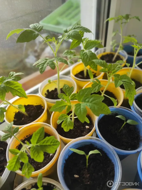 Грунт для рассады Родная Земля