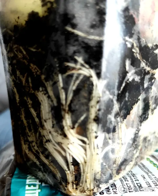 Грунт для рассады Родная Земля