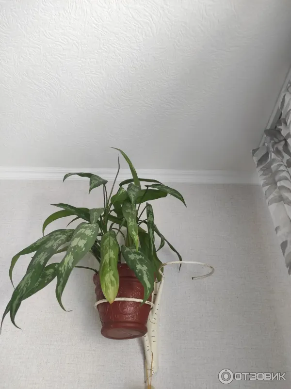 Грунт для рассады Родная Земля