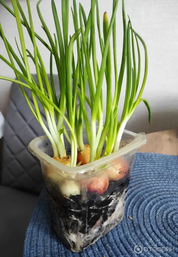 Грунт для рассады Родная Земля