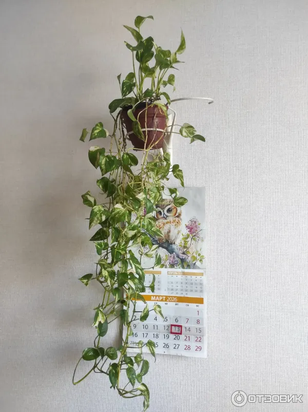 Грунт для рассады Родная Земля