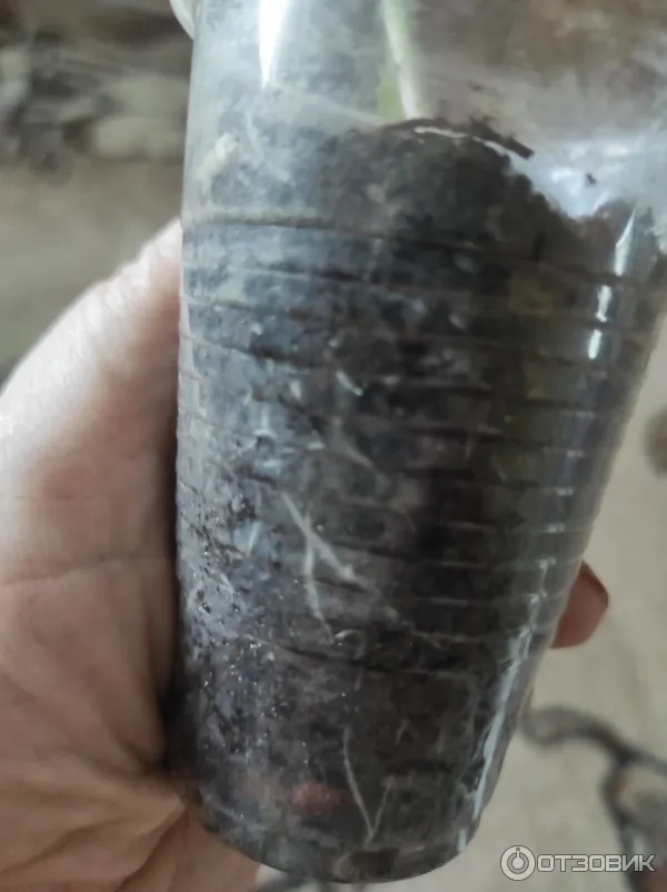 Грунт для рассады Родная Земля