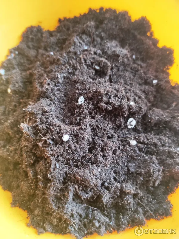 Грунт для рассады Родная Земля