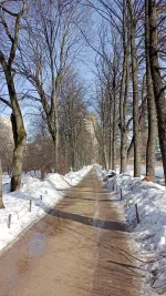 Выставка "Репетиция весны" в Ботаническом саду МГУ "Аптекарский огород" (Россия, Москва) фото