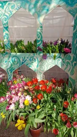 Выставка "Репетиция весны" в Ботаническом саду МГУ "Аптекарский огород" (Россия, Москва) фото
