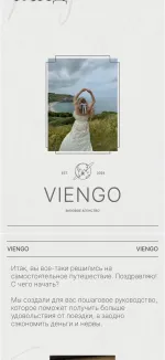 Визовое агентство Viengo (Россия, Москва) фото