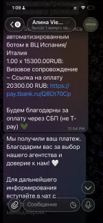 Визовое агентство Viengo (Россия, Москва) фото