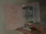 Визовое агентство Viengo (Россия, Москва) фото