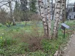 Ботанический сад МГУ (Аптекарский огород) (Россия, Москва) фото