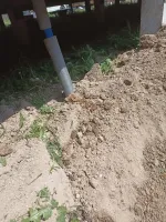 Локальная станция очистки сточных вод Евролос БИО фото