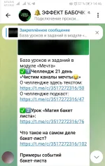 Нейро-игра Ирины Аргентовой "Эффект бабочки: деньги и состояние" фото