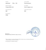 Matita-school.ru - онлайн-школа рисования Арт-Матита фото