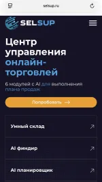 Selsup.ru - сервис по работе с маркетплейсами фото