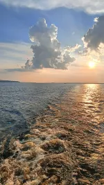 Круизная компания Круиз.онлайн (Россия) фото