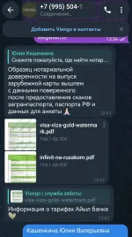 Визовое агентство Viengo (Россия, Москва) фото