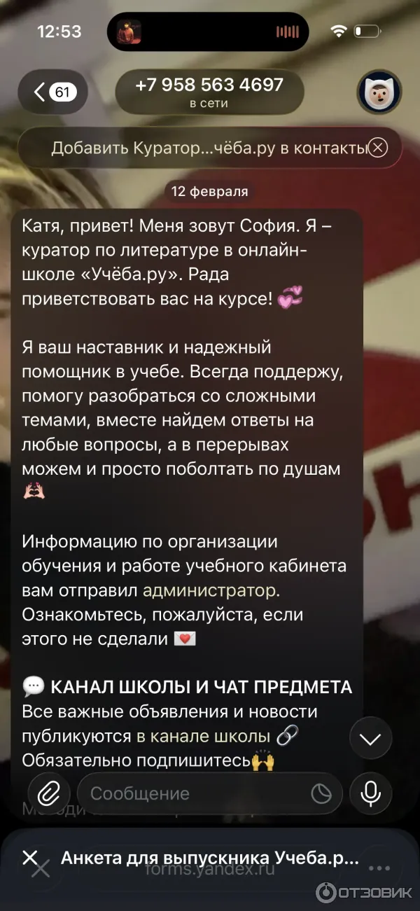 общение с куратором с этой школы
