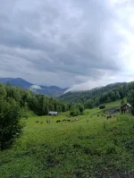 Конный тур по горному Алтаю "Маяк Алтай" (Россия, Алтайский край) фото