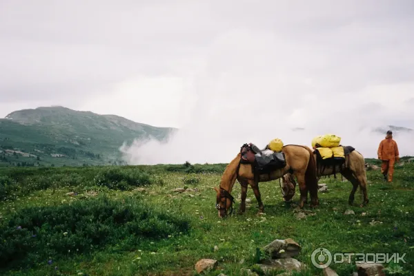 Конный тур по горному Алтаю Маяк Алтай (Россия, Алтайский край) фото