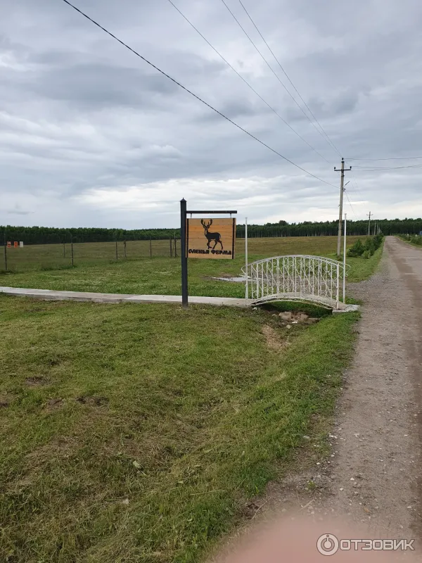 База отдыха Барская усадьба (Россия, д. Волга) фото
