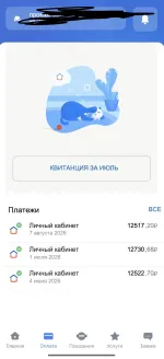 Компания "Пик-комфорт" (Россия, Москва) фото