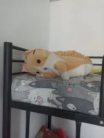 Матрас Аскона "Comfort Plus" фото
