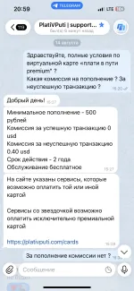 Виртуальная карта "Плати в пути" фото