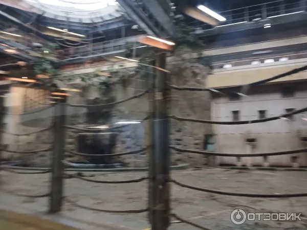 Маленький вольер для слонов