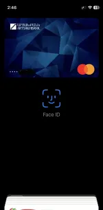 Зарубежные карты SkyZit фото
