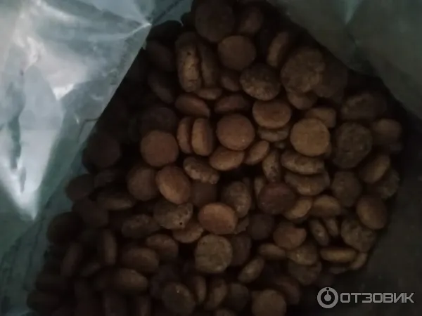 Сухой полнорационный корм для взрослых активных стерилизованных кошек AJO с высоким содержанием белка с индейкой и уткой фото