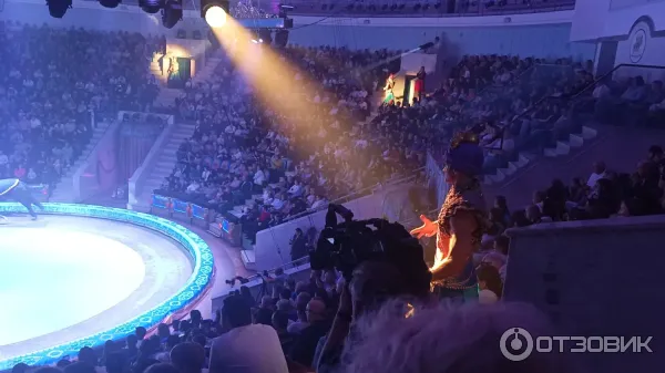 ПЕСЧАНАЯ СКАЗКА. Королевский цирк Гии Эрадзе и Росгосцирк. город Тула. жёлтый сектор 1.