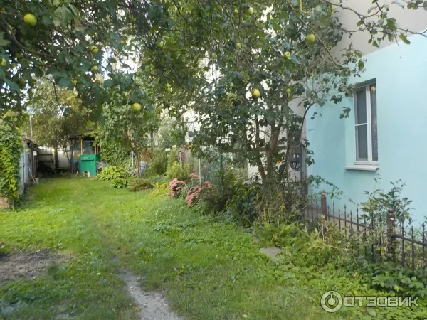 Апартаменты Кранц Винтаж (Россия, Зеленоградск) фото