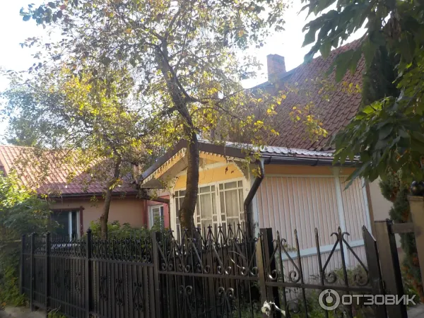Апартаменты Кранц Винтаж (Россия, Зеленоградск) фото