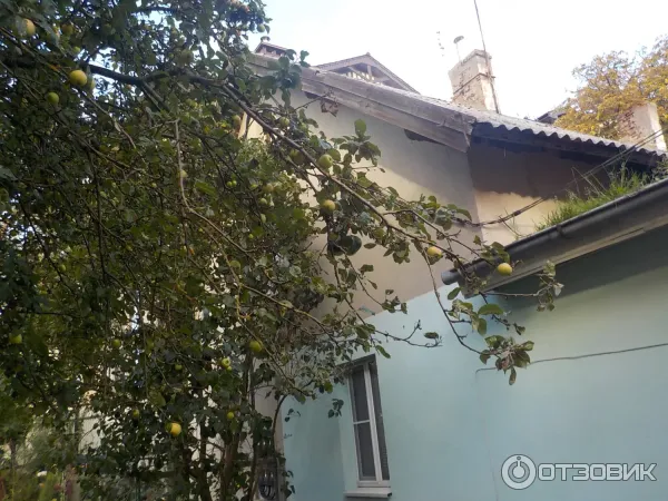 Апартаменты Кранц Винтаж (Россия, Зеленоградск) фото